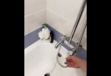 Photo of Frap: стильная сантехника